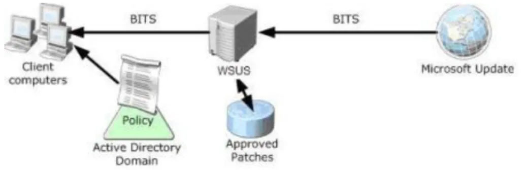Figura 2.1 – Implementação da arquitectura WSUS. 