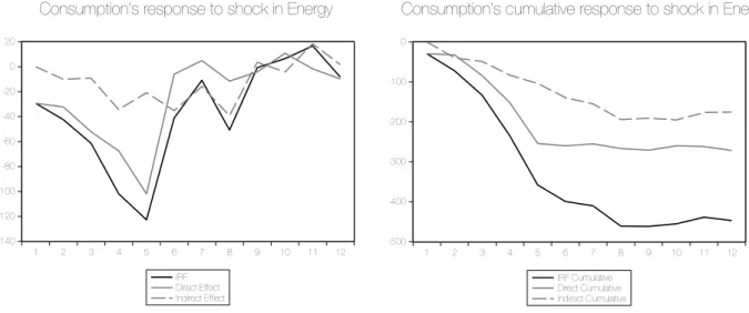 Figure 3 – Direct and indirect effects of an innovation in energy prices on private consumption