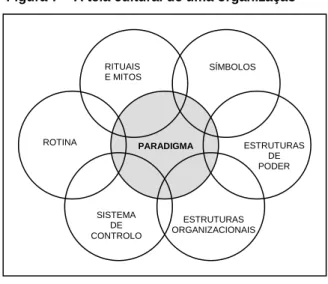 Figura 7 – A teia cultural de uma organização 