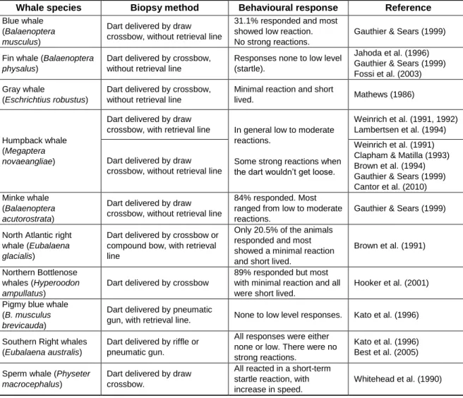 Table 2 - Summary of a variety of biopsy methods used and behavioural responses for whale species  (concised and adapted from Noren &amp; Mocklin, 2012)