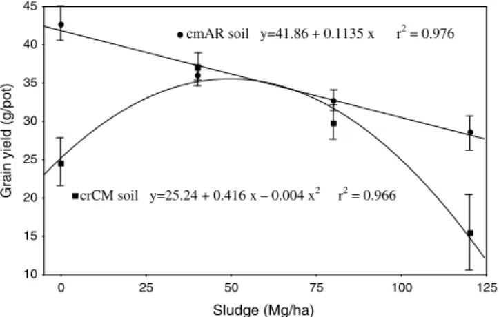 Fig. 2. Response of grain yield of wheat grown in two Mediterranean soils amended with secondary paper sludge.