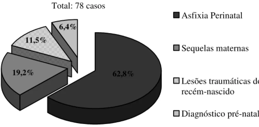 Gráfico  I.  Motivos  mais  frequentes  dos  78  processos  médico-legais  em  Obstetrícia,  avaliados  pelo Instituto Nacional de Medicina Legal, no período de Janeiro de 2001 a Dezembro de 2006