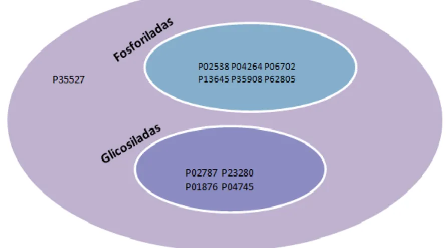 Figura 12. Diagrama representativo das proteínas  comuns à gengivite, à periodontite  crónica  e  à  periodontite  agressiva,  que  se  encontram  depositadas  no  OralCard
