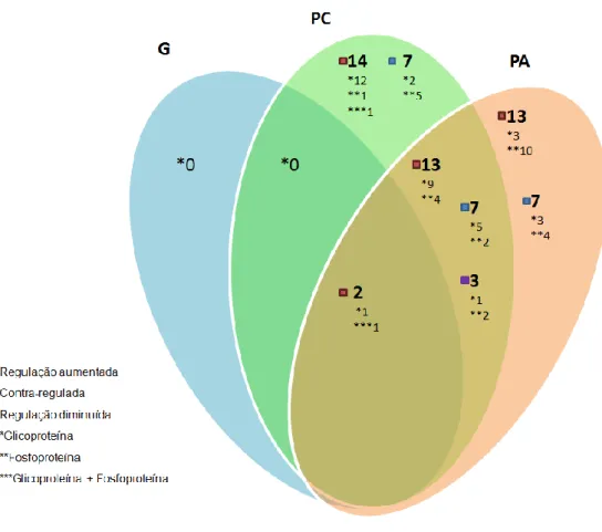 Figura  14.  Identificação  do  universo  das  proteínas  relativamente  ao  seu  mecanismo  pós-tradução  e quantidade  de  expressão  relativamente  à  alteração  de expressão  em  cada uma das três patologias, a partir da lista presente no OralCard