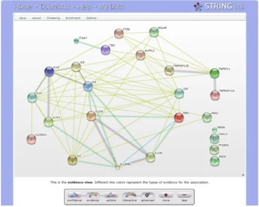 Figura  14  –  Rede  de  interactómica  gerada  pelo  STRING,  as  diferentes  cores  das  linhas  representam a fonte de informação