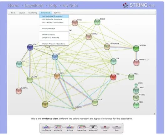 Figura 16 - Seleção do tipo de ontologia desejado, interface da ferramenta STRING.  