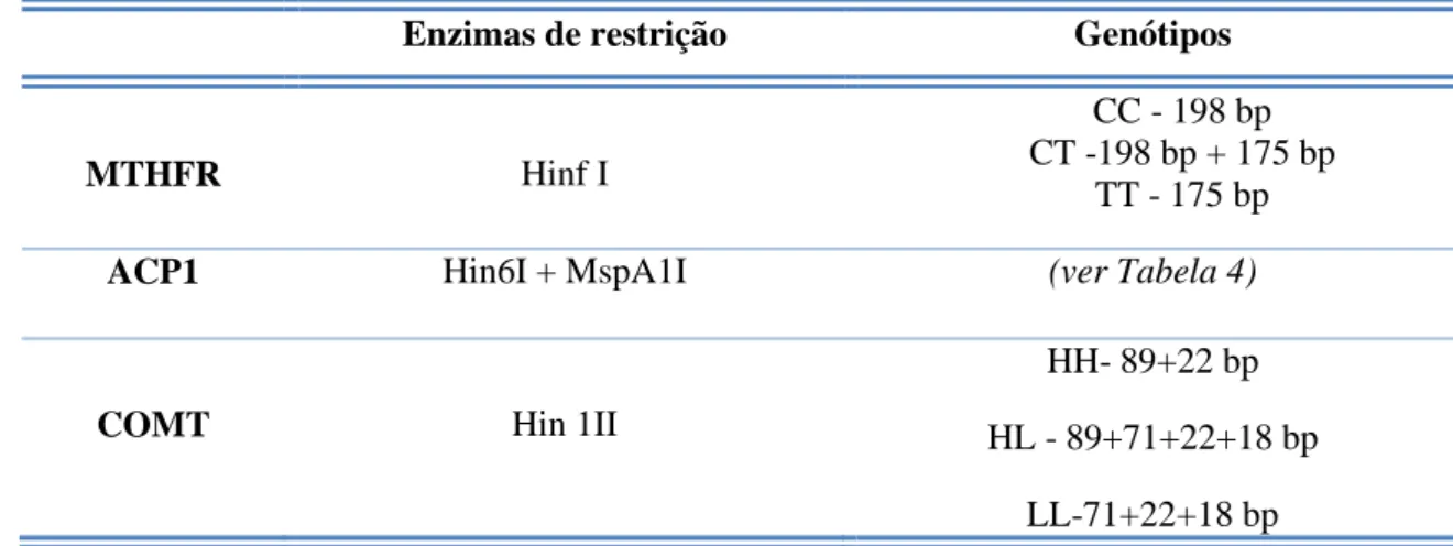 Tabela 3 - Enzimas de restrição utilizados na digestão dos fragmentos amplificados e genótipos  possíveis com as bandas correspondentes