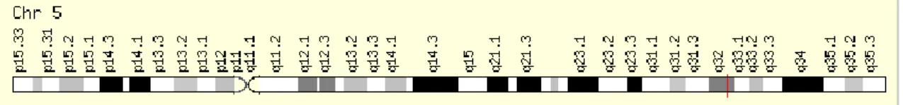Fig. 4 Localização do gene do recetor β 2  adrenérgico (Genecard.org, 2016) 