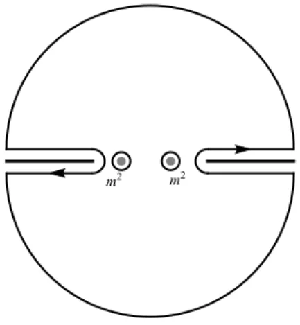 Figure 4.2: This is the integration contour for Cauchy theorem.