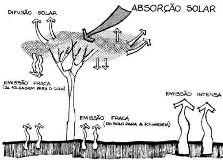 Figura 2.10 - Efeito regulador da vegetação nas radiações de grande comprimento de onda