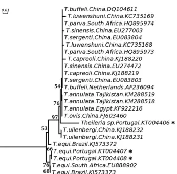 Fig. 3. Phylogenetic tree of Theileria using 18S ribosomal RNA gene sequences.