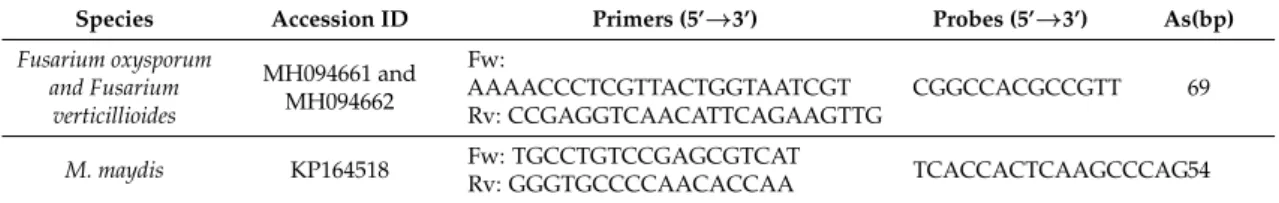 Table 1. qPCR oligonucleotide primers and probes designed on internal transcribed spacer (ITS) gene region