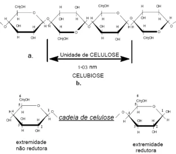 Figura 4 Fórmula estereoquímica da celulose. (Klock, 2005). 