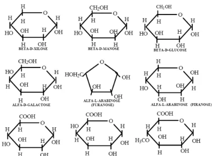 Figura 7 Formulas dos açúcares que compõem a celulose. (Klock, 2005) 