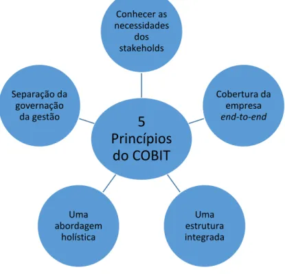 Figura 5 - 5 Princípios do COBIT 