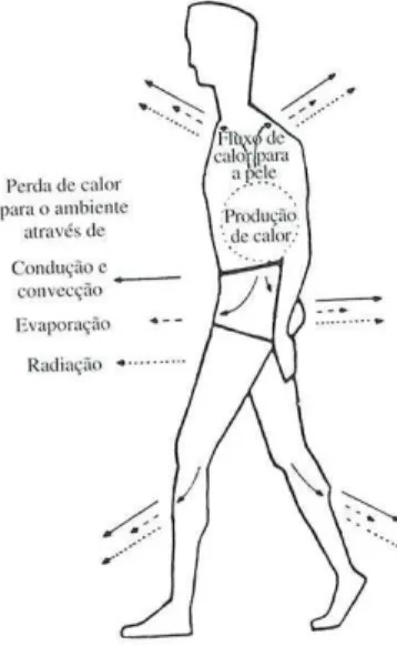 Figura 3 – Esquema do balanço térmico do corpo humano, segundo Wenzel  Fonte: Miguel, 2010 