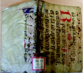 Figure 6  The binding of a copy of Cabreira. 
