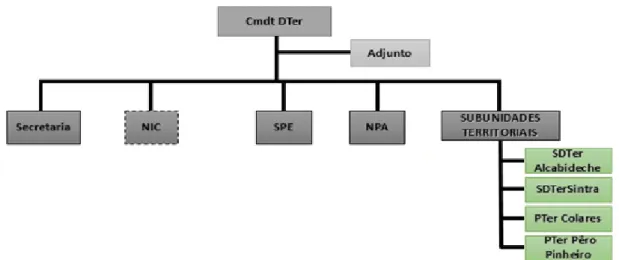 Figura n.º 1 - Orgânica do DTer de Sintra  Fonte: Dados do DTer de Sintra 