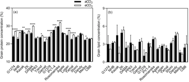 Figure 6. Influence of eCO 2 on bean seed protein and lipid concentrations. Each bar represents the mean ± SE (n = 10 plants)