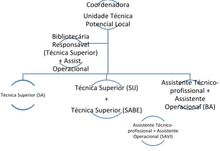 Figura 5 - Organograma recursos humanos da BMA 