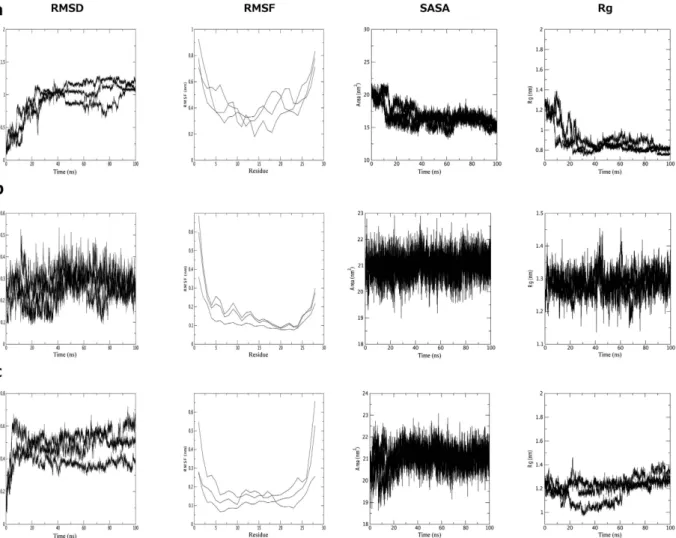Figure 6.  Graphical representation of physicochemical parameters resulted from molecular dynamics  simulations