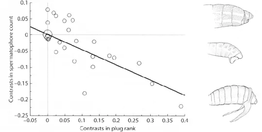 Figure 4. Correlated evolution of mating plugs and female re-mating frequency among butterflies