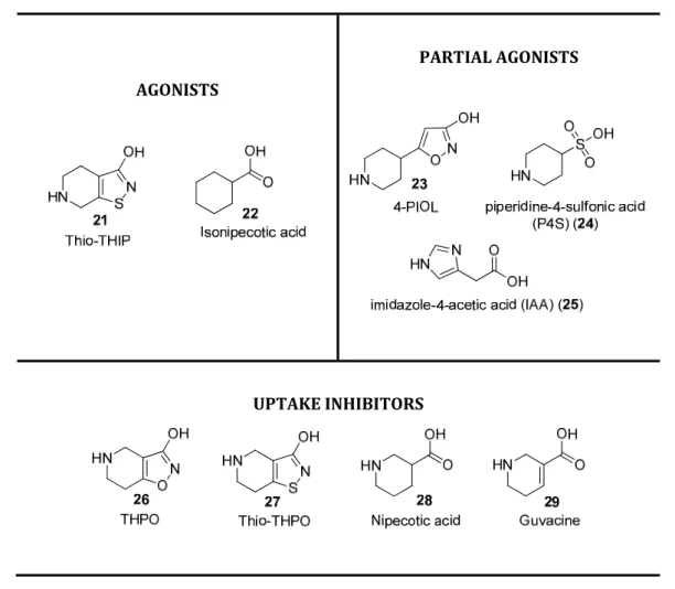Figure 16. Chemical structure of some GABA A  R agonists, partial agonists and uptake  inhibitors
