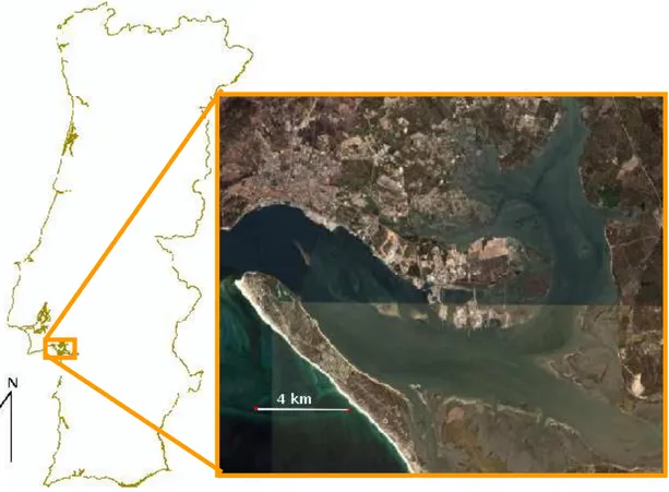 Figura I-2. Localização do estuário do Sado (extraído de GoogleEarth). 