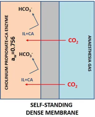 Figure 1.21 Graphical representation of the self-standing dense membrane for anaesthesia gas removal 