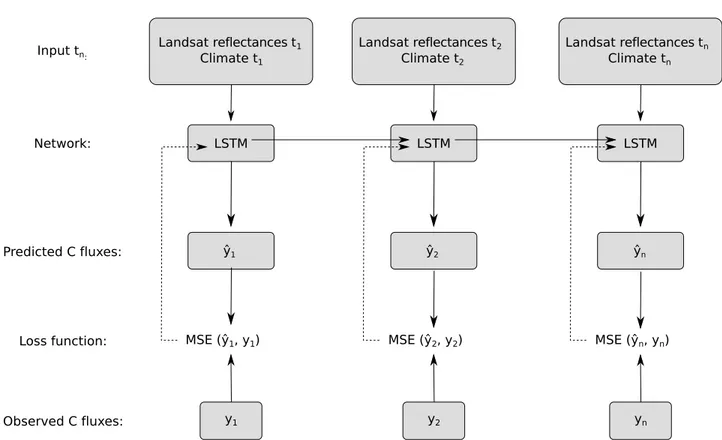 Fig 2. Flowchart of the proposed LSTM approach. Figure adapted from [61]. Each individual timestep is a monthly observation for the period 1982 to 2015