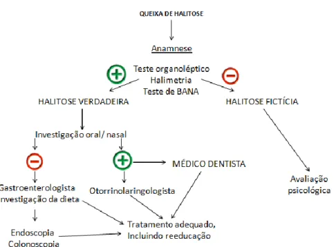 Ilustração 1 - Fluxograma baseado no sugerido por Rio et al. para o diagnóstico da  halitose