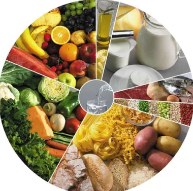 Figura 1 – A nova roda dos alimentos. 