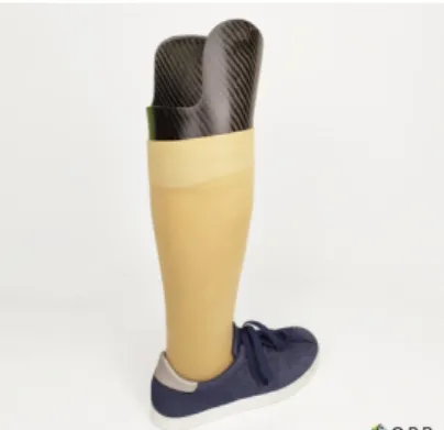 Figure 3: Prosthesis Carbon for Lower Limb 