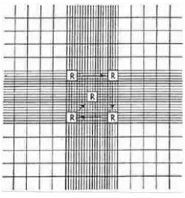 Figura 13 Representação da câmara de contagem do hemacitómetro de Neubauer