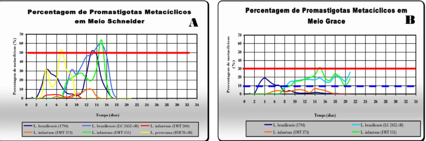 Figura 17 Variação da percentagem de promastigotas metacíclicos de cada estirpe em cultura em meio   Schneider (A) e em meio Grace (B),   
