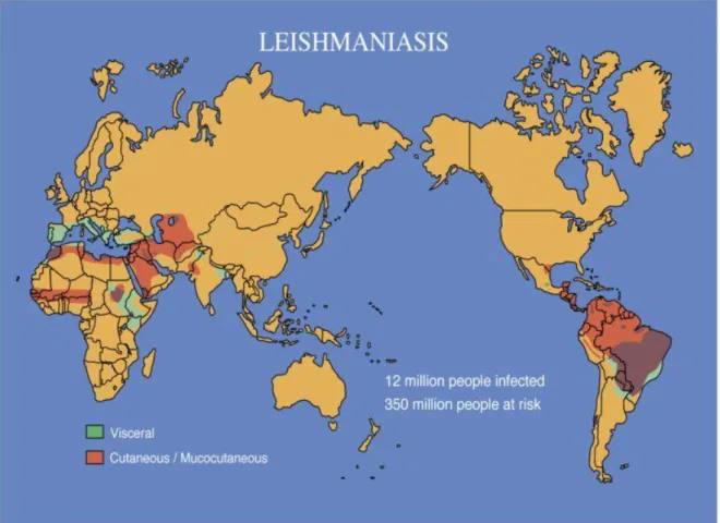 Figura 1 Distribuição das Leishmanioses no Mundo