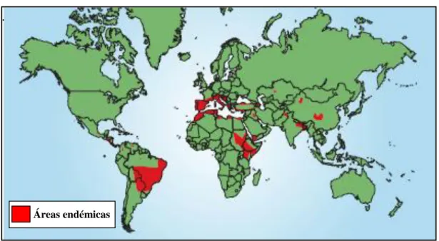Figura 2 Distribuição mundial de Leishmaniose Visceral