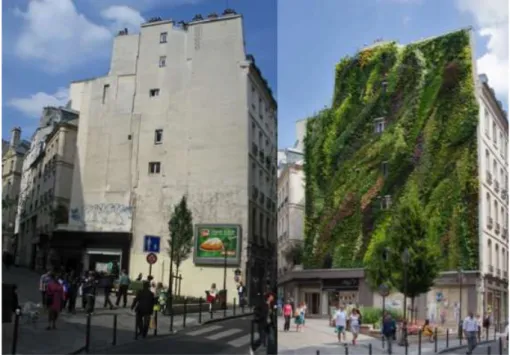 Figure 6 - Before and After L’Oasis d’ Aboukior Source: Paris verticalgardenpatrickblanc.com, 2015