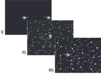 Figure 1 – Single Target tasks: i.) Task 1. ‘Collision’; ii.) Task 2. 