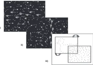 Figure 2 – Motion Coherence tasks: i.) Task 4. ‘Direction Change’; 