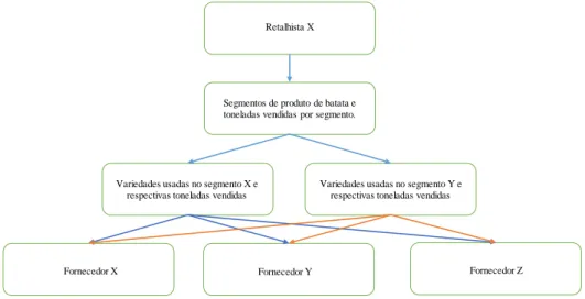 Figura 1. Organograma vertical dos elementos em estudo 