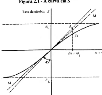 Figura 2.1 - A curva em S 