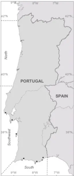 Figure 2.1 – Map of mainland Portugal fishing  ports were  interviews took place (1-Cascais,  2-Sesimbra,  3-Sines,  4-Ferragudo,  5-Fuzeta,   6-Santa Luzia)