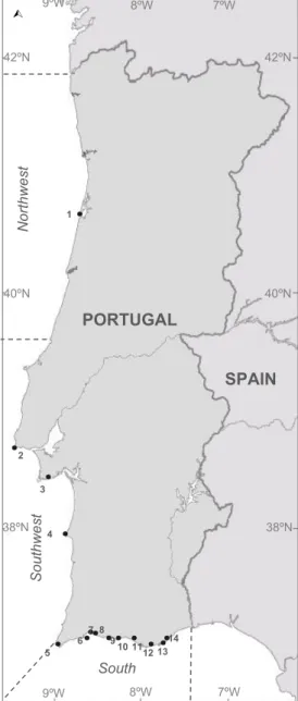 Figure  3.1  -  Map  of  mainland  Portugal  with  fishing ports where intervews were conducted  (1-Aveiro, 2-Cascais, 3-Sesimbra, 4-Sines, 5-Sagres,  6-Lagos,  7-Alvor,  8-Portimão,  9-Ferragudo,   10-Albufeira, 11-Quarteira, 12-Olhão, 13-Fuzeta,  14-Sant