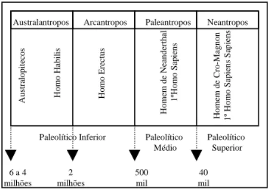 Fig. 1 – Processo de Hominização durante o Paleolítico. 
