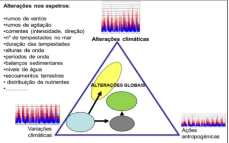 Figura 3. As “alterações globais” representadas como um trinómio resultante da 