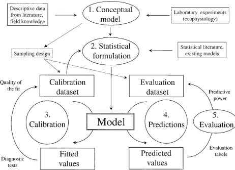 Figure 2. Predictive model building process  (Guisan &amp; Zimmermann, 2000).