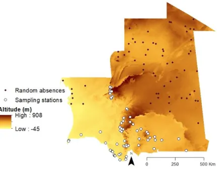 Figure 7. Distribution of random absences relative to the sampling stations across the study area
