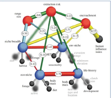 Figure  1.5  Proposed  and  tested structural  relationship  between  predictors  of species  extinction  risk  in  birds