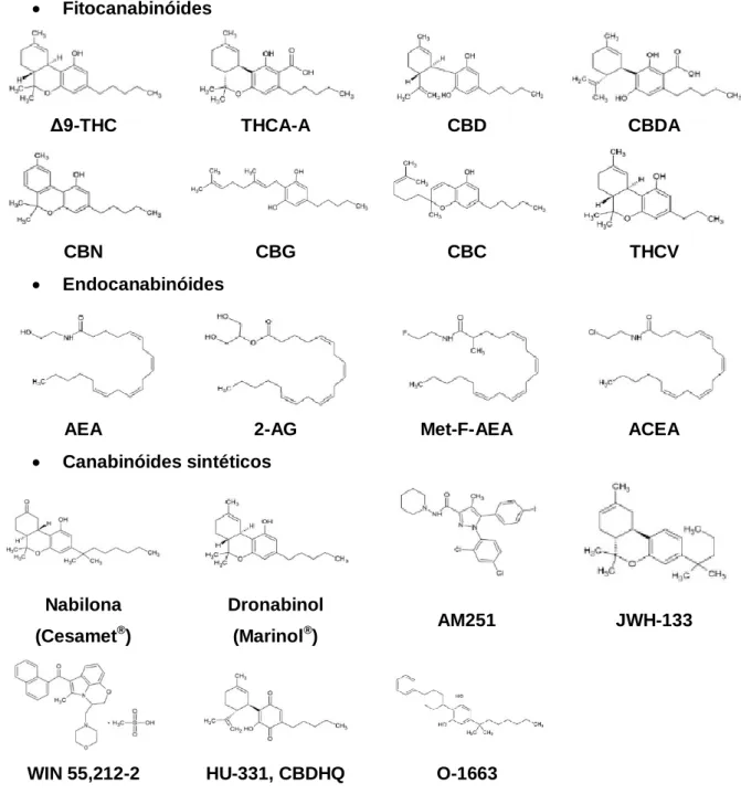 Figura  2.  Estruturas  químicas  dos  principais  fitocanabinóides,  endocanabinóides  e  canabinóides sintéticos (Adaptado de 94)